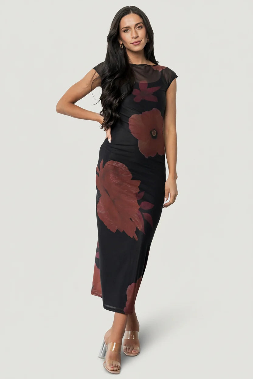 Daniela Mesh Midi Dress | Black Floral
